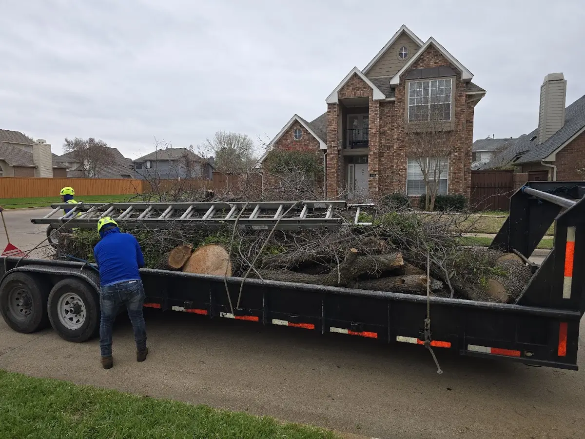 Expert Lot Clearing with proper safety equipment in Icard
